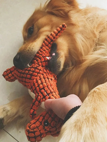 Dog toy