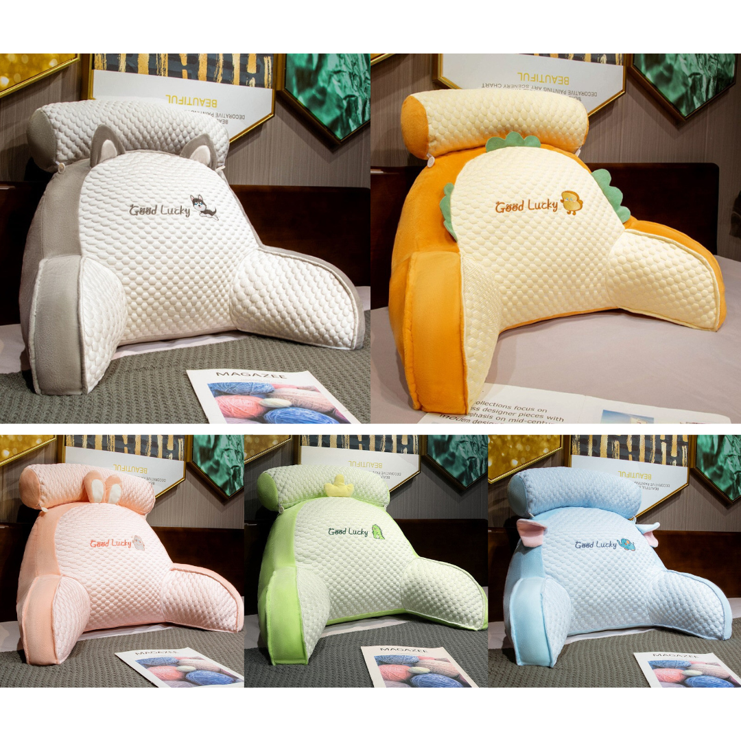 Back support pillow