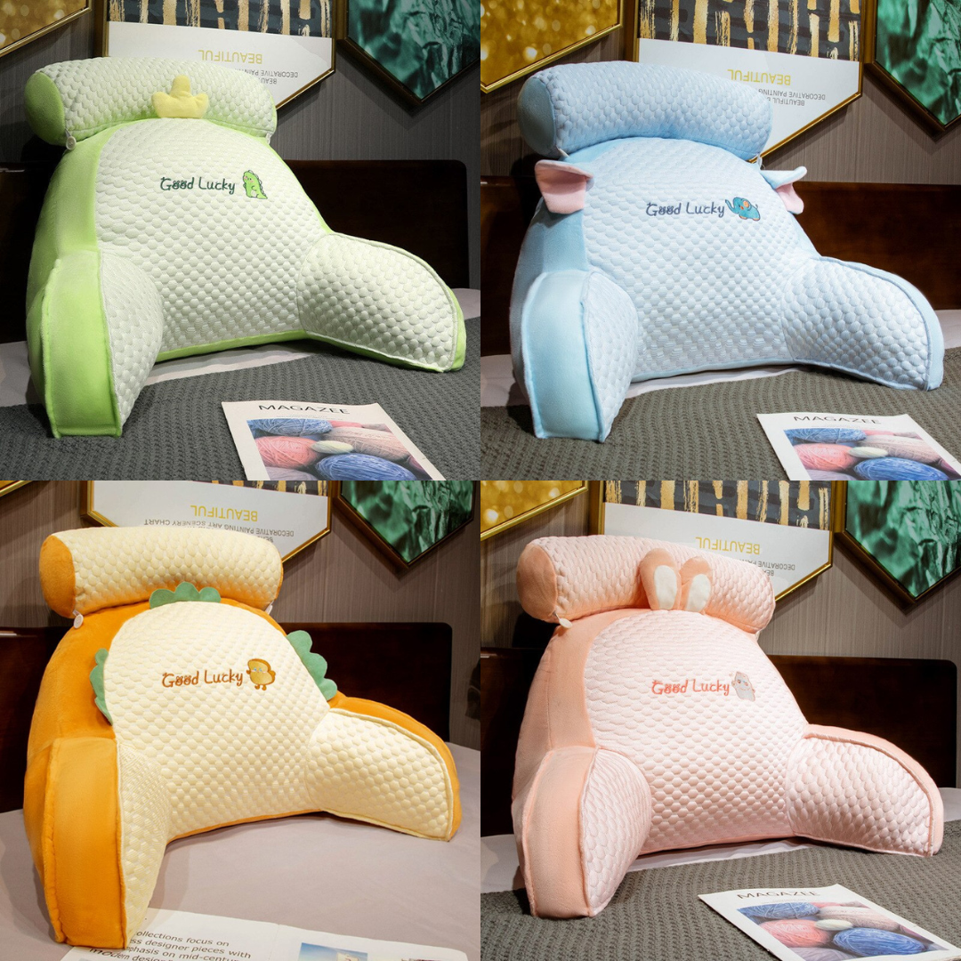 Back support pillow