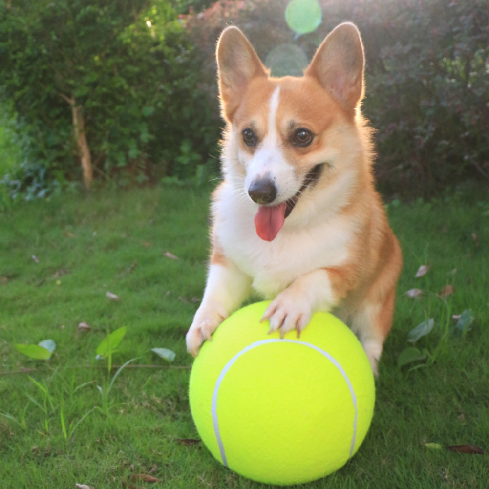 Inflatable tennis ball | Dog toy