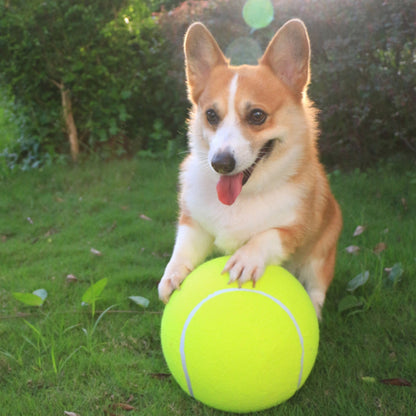 Inflatable tennis ball | Dog toy