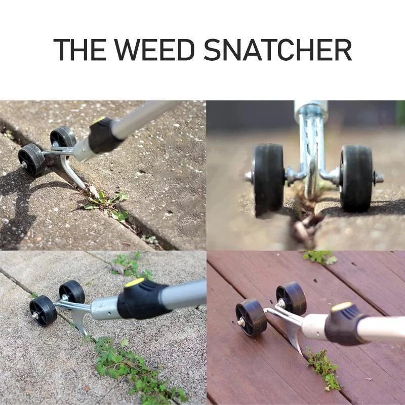 Weed remover