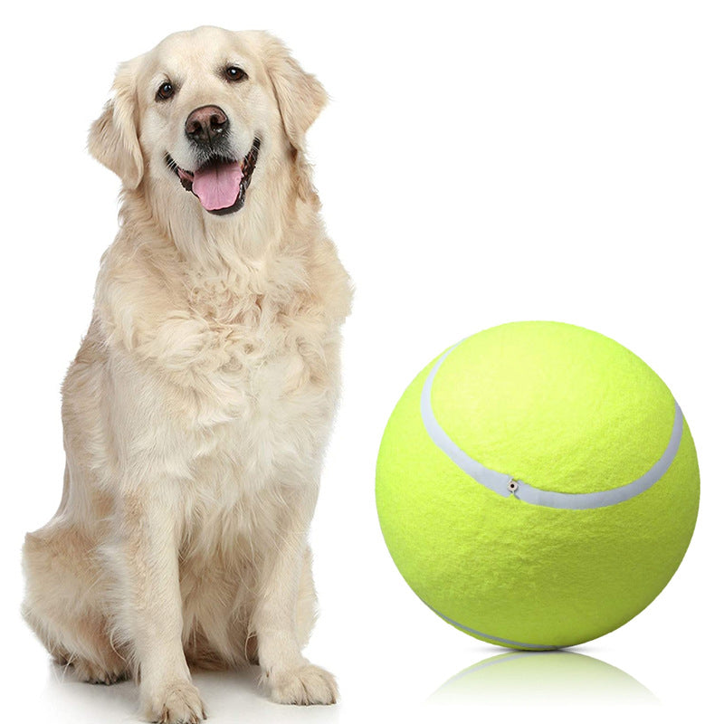 Inflatable tennis ball | Dog toy