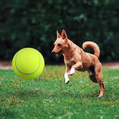 Inflatable tennis ball | Dog toy