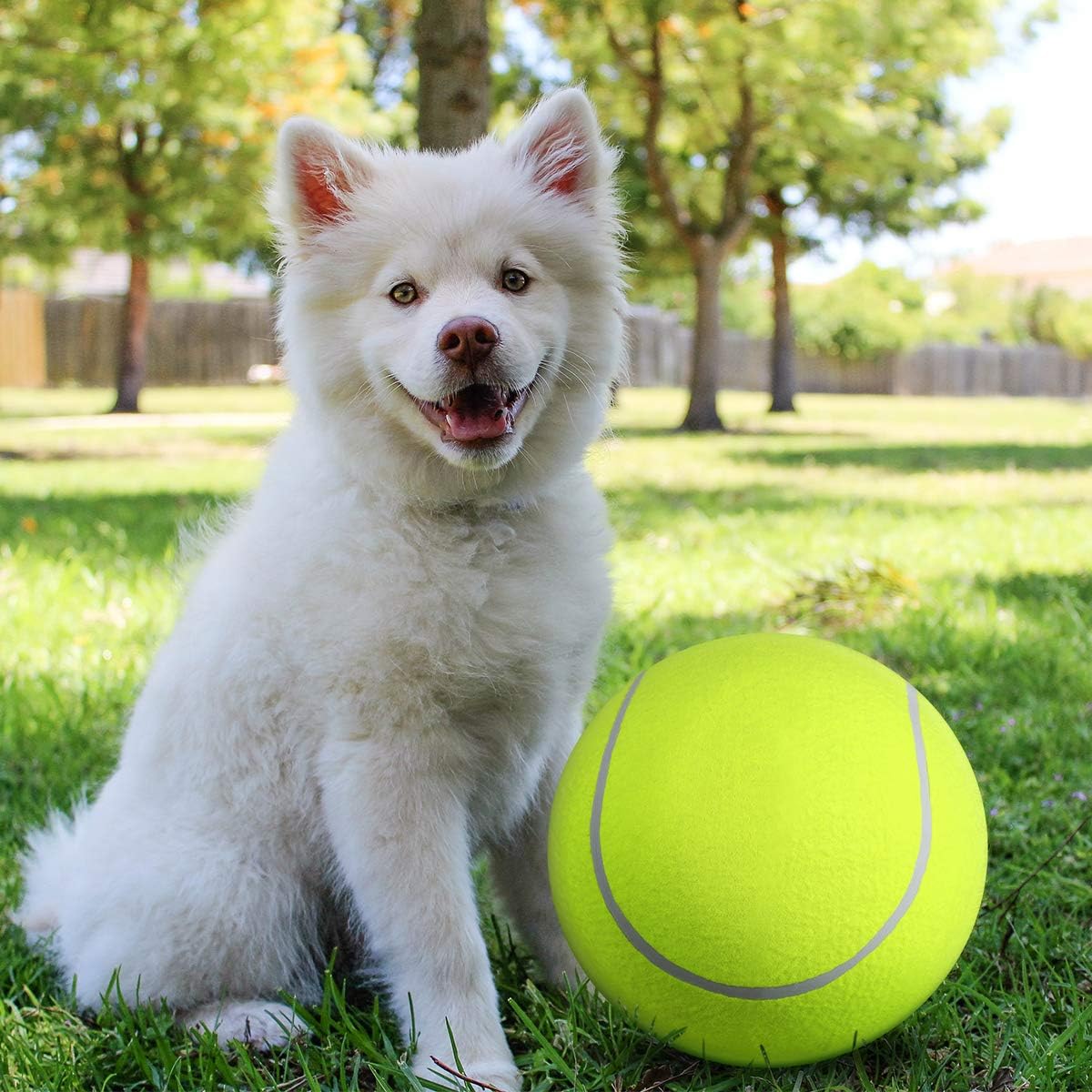 Inflatable tennis ball | Dog toy