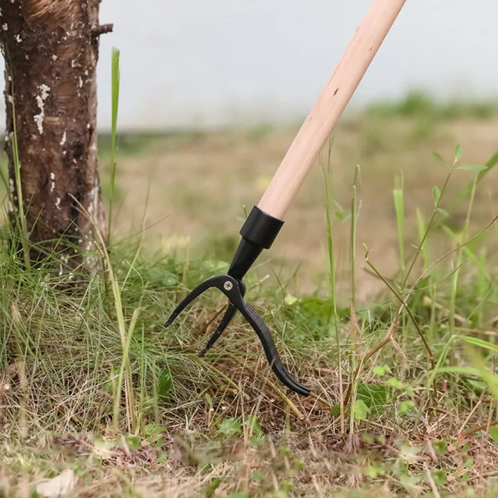 Weed remover