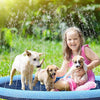 DogBrunne™ - Keep your loyal friend cool on hot summer days! [Last day discount] 