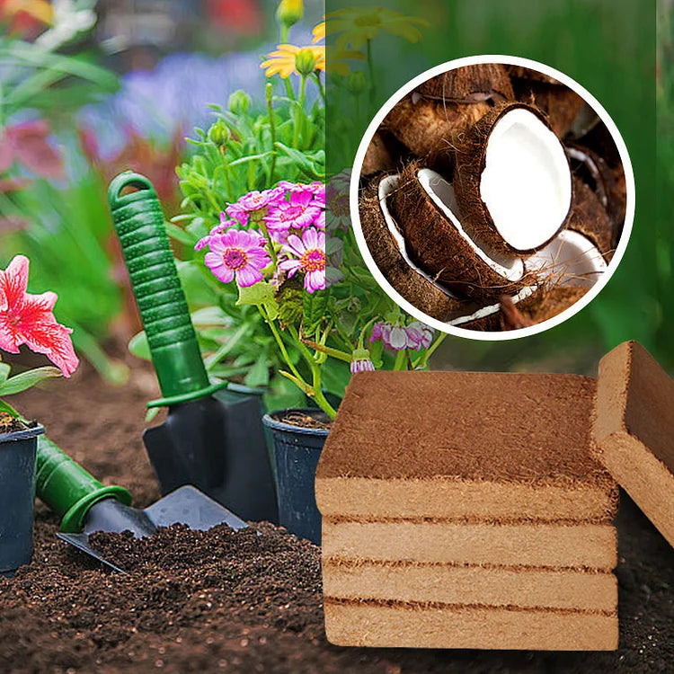 (2+1 Free) CocoBrick™ - Organic Coconut Charcoal for Plants [Last Day Discount] 