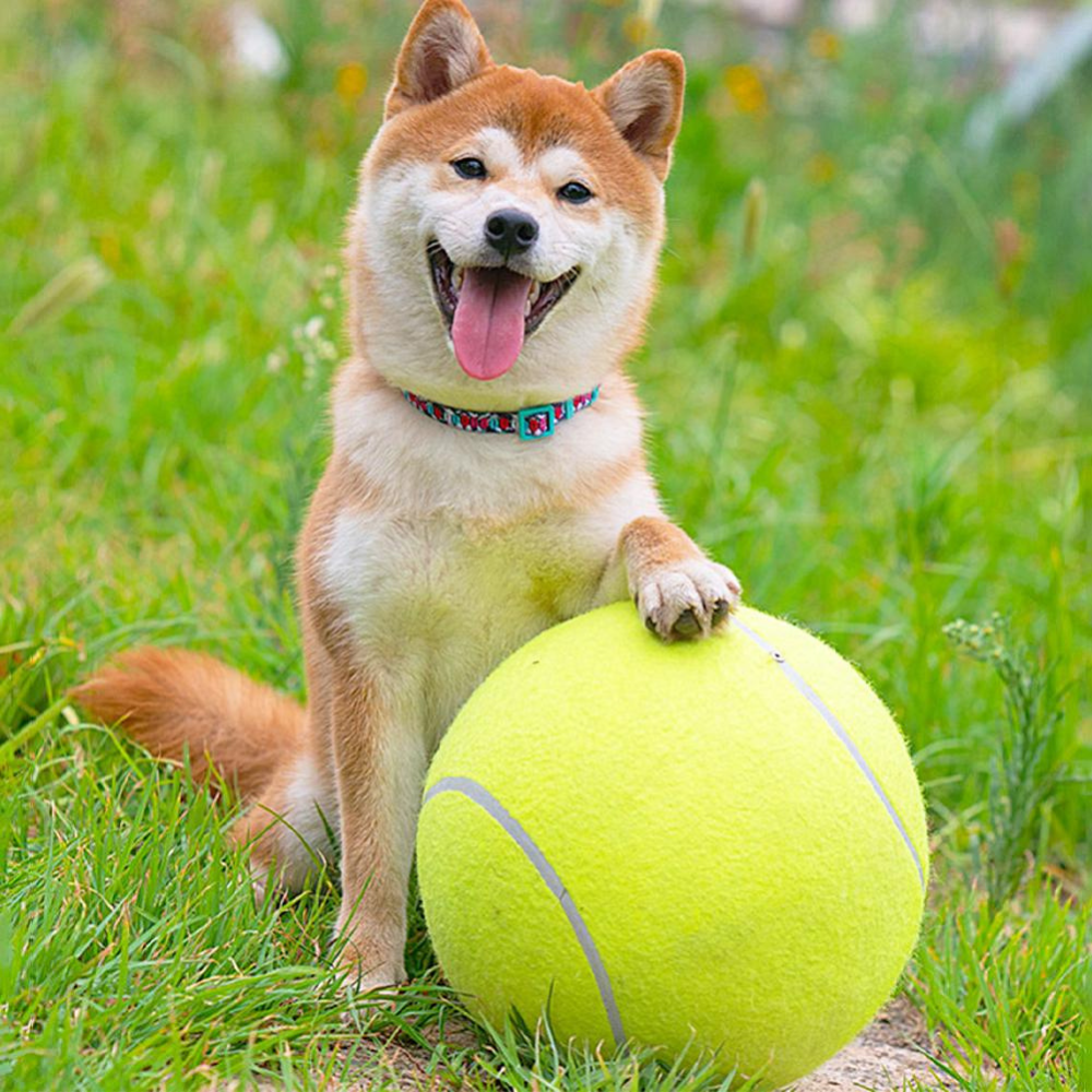 Inflatable tennis ball | Dog toy