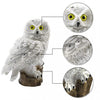 (1 +1 FREE) | OwlSolarLamp™ - Make your garden more attractive 【Last day discount】