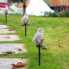 (1 +1 FREE) | OwlSolarLamp™ - Make your garden more attractive 【Last day discount】