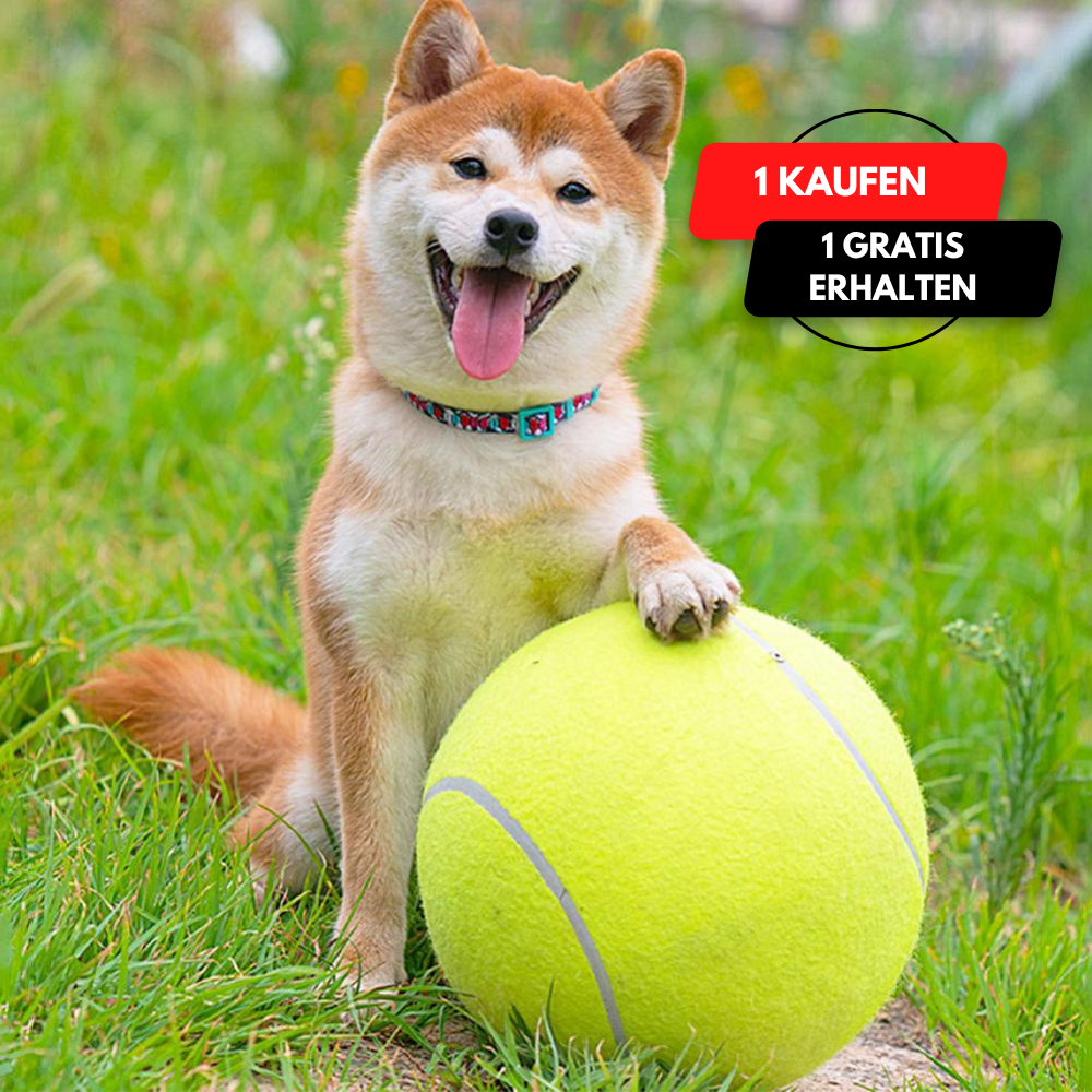 Inflatable tennis ball | Dog toy