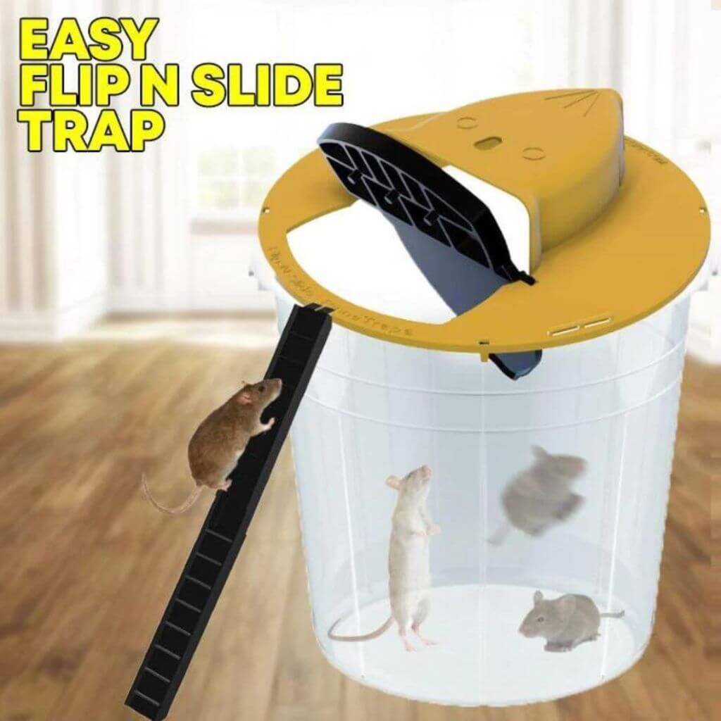 (50% off) TrapUp™ - Flip and Slide Mouse Trap [Last Day Discount]