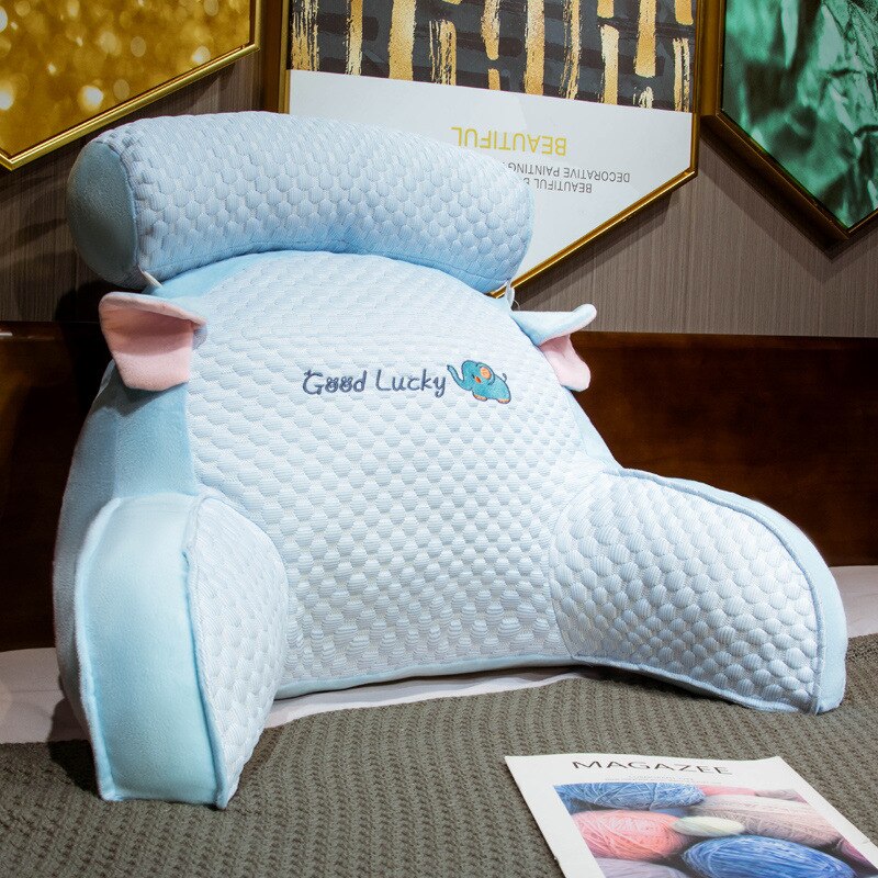 Back support pillow