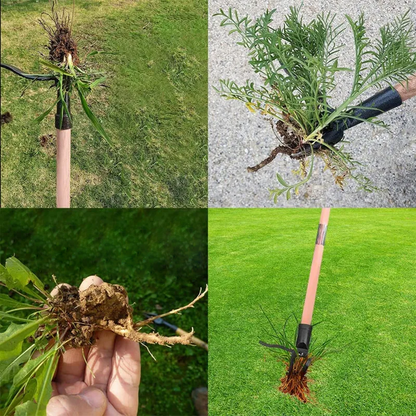 Weed remover