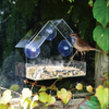 Mountable Clear Birdhouse 【Last Day Discount】