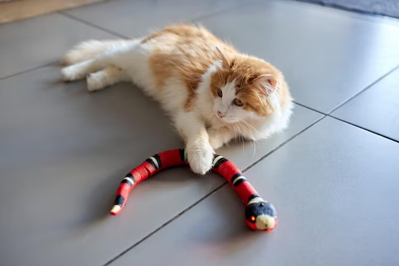 (50% off) SnakeToy™ - Smart Snake Toy for your Cats! [Last Day Discount] 