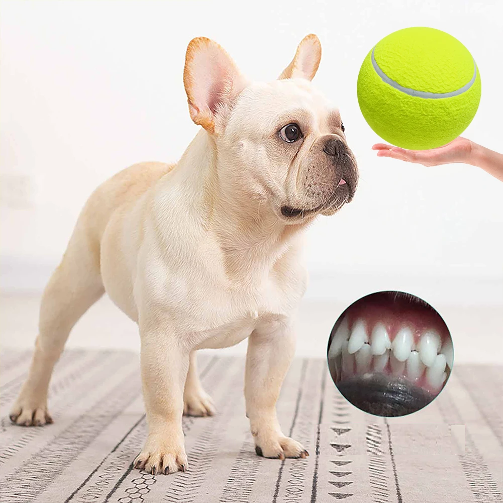 Gianti™ | Monster Tennis Ball for Dogs