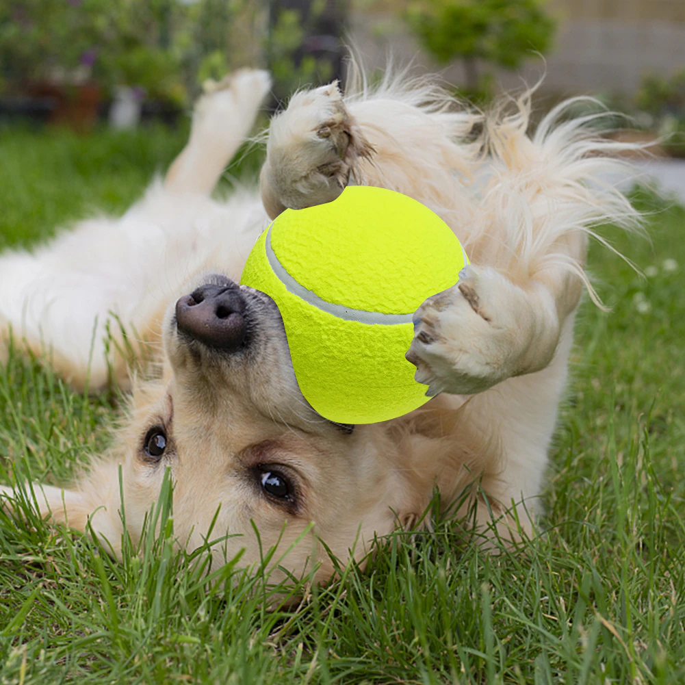 Gianti™ | Monster Tennis Ball for Dogs