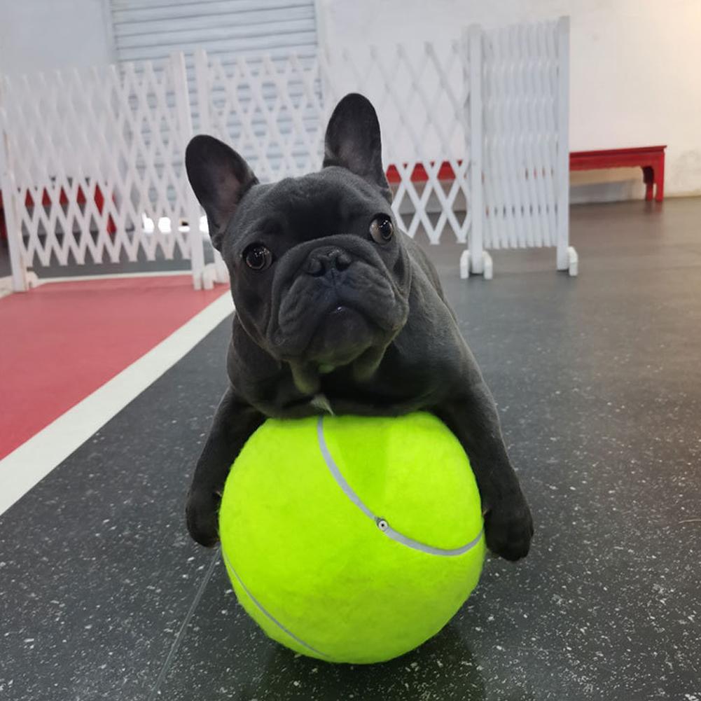 Inflatable tennis ball | Dog toy