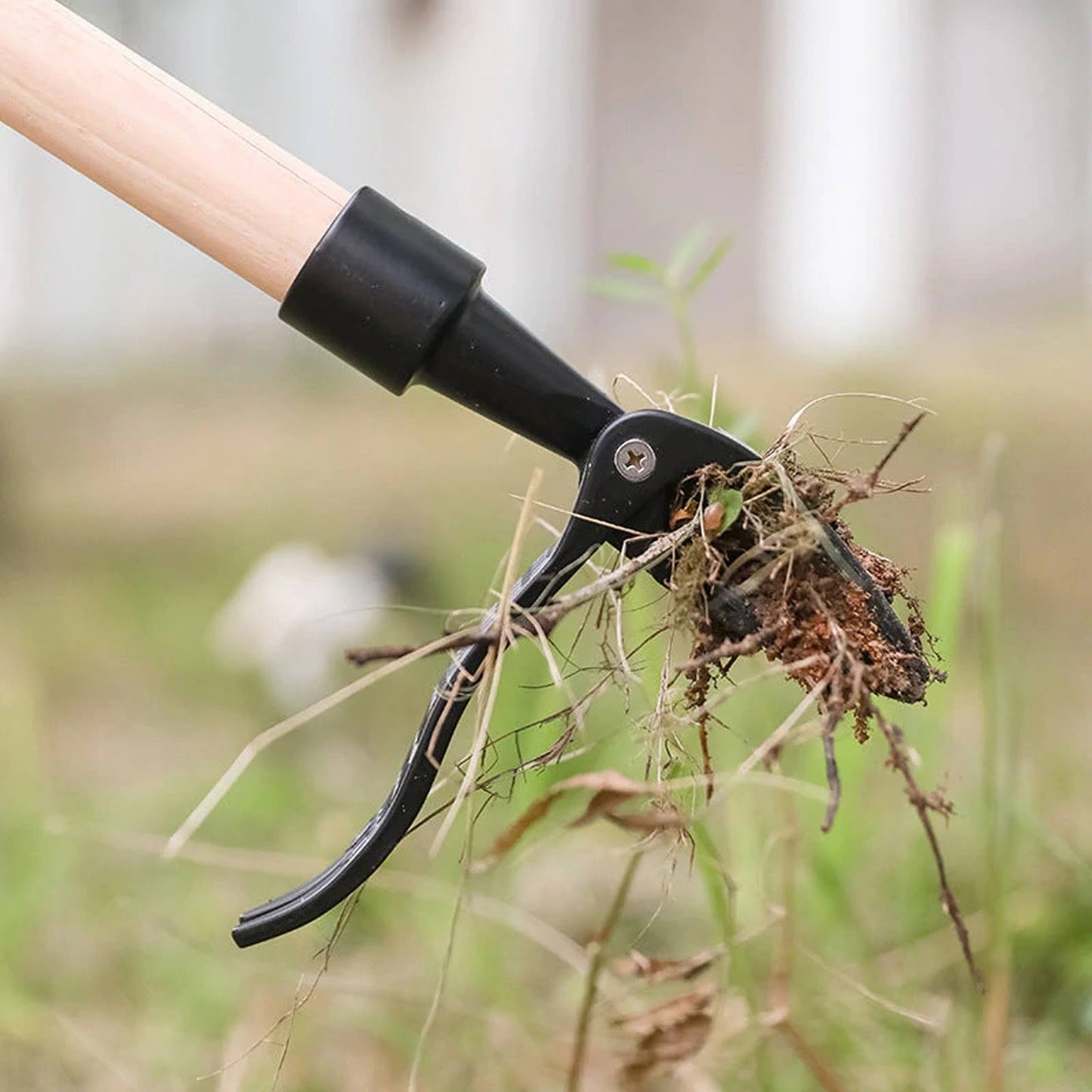 Weed remover